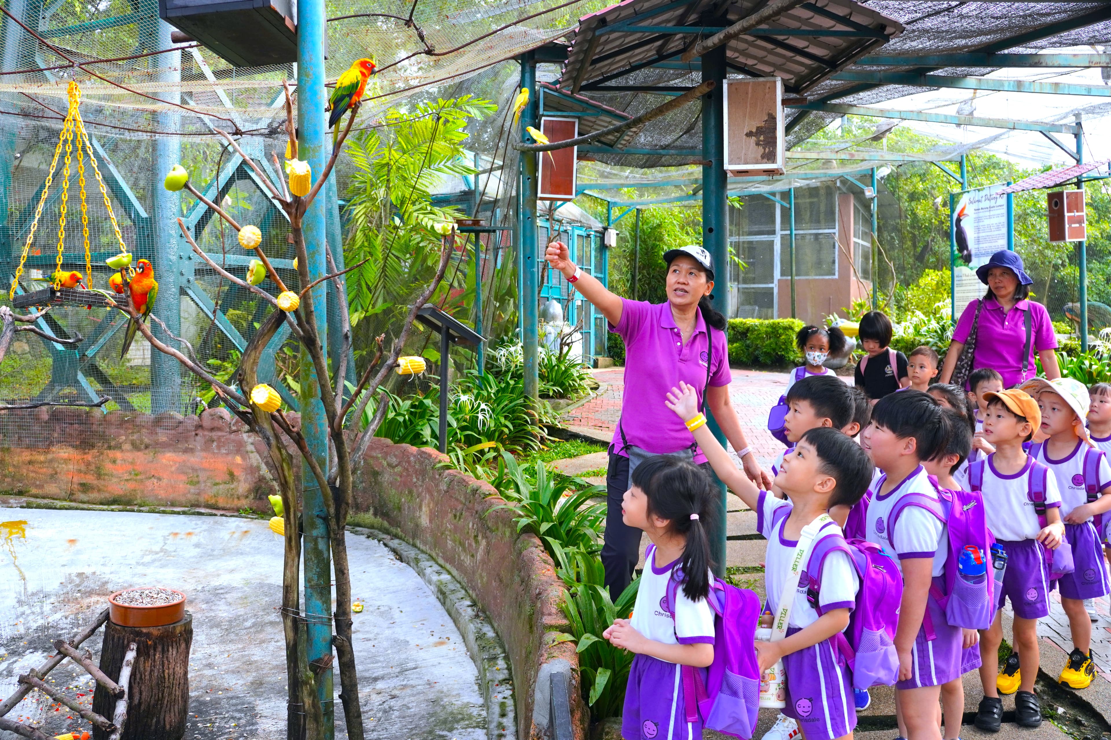 Chrisdale Kindergarten gallery photo